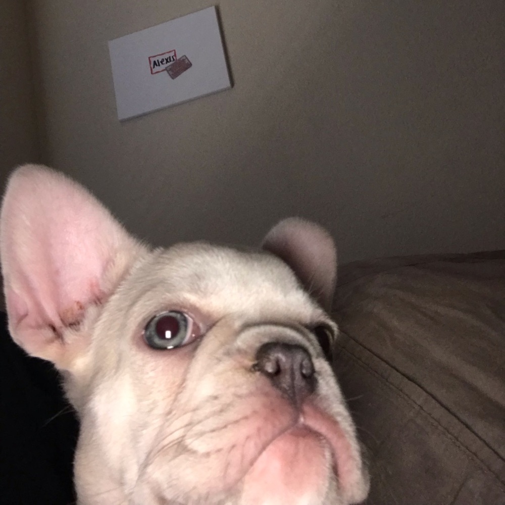 Meet your Posher, Alexis